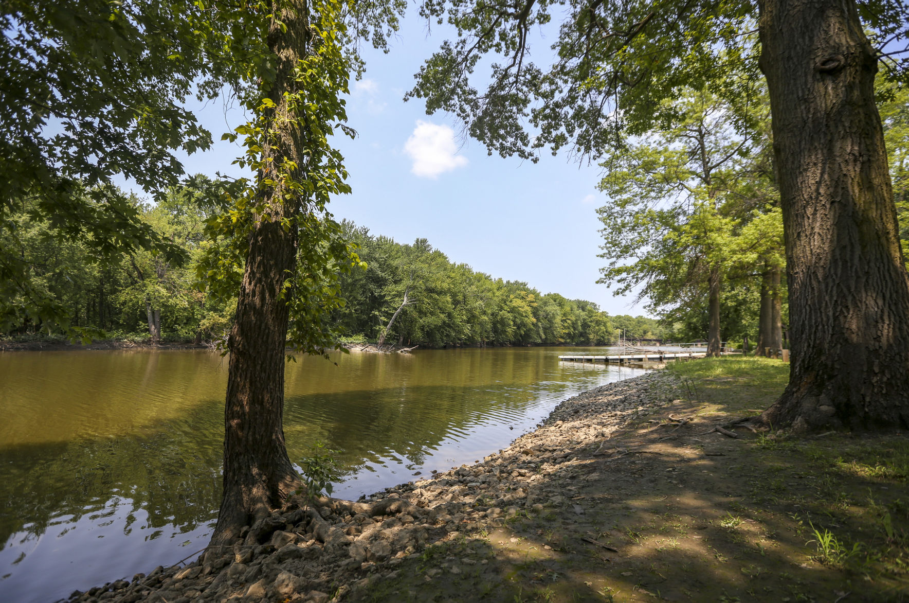 THE GREAT RIVER-0660